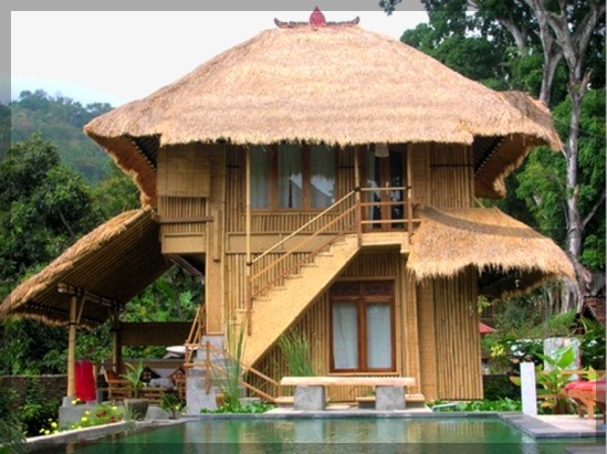 Modern Bamboo Houses Interior and Exterior Designs  The ...