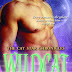 Review - Wildcat by Cheryl Brooks