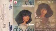 Vina Panduwinata
