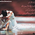 My Own Nazam, Es Zindagi Ki Bheer Main