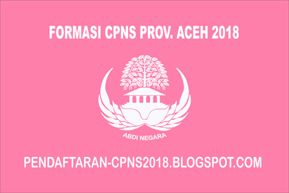 Formasi CPNS Provinsi Aceh 2018
