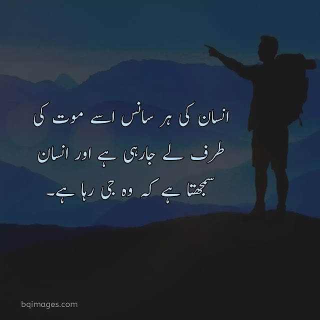 quotes about life in urdu english