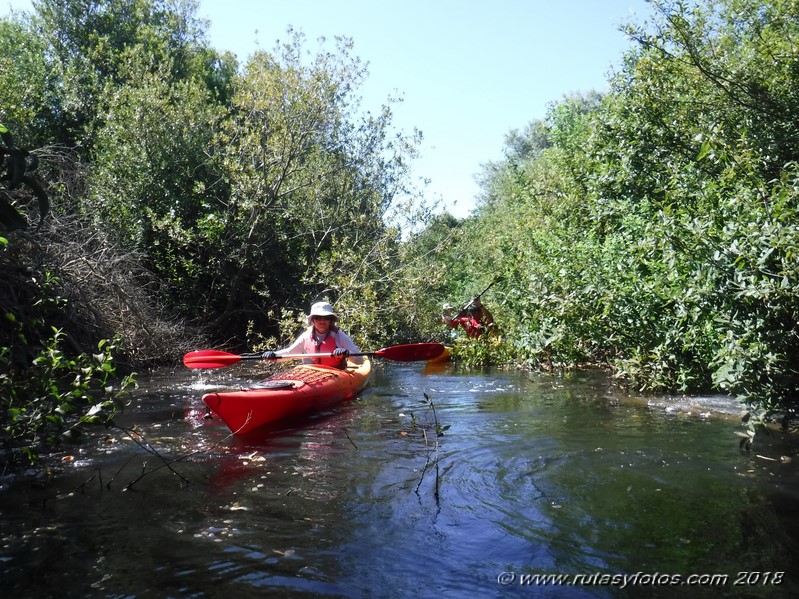 Kayak río Palmones