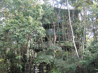 Hotel en los arboles Ariau Torres en Brasil