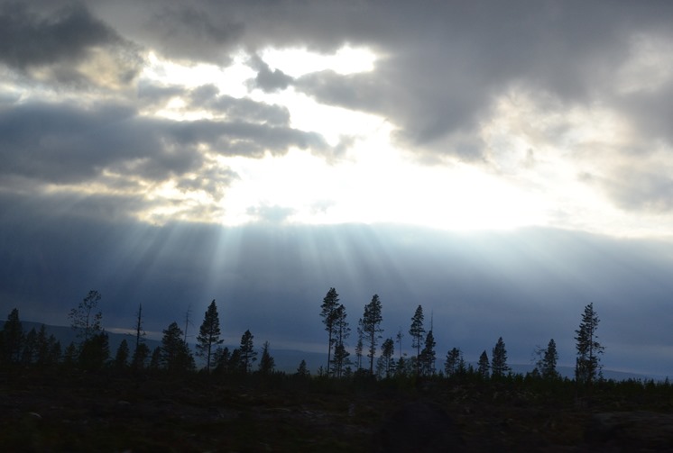 Sommar -13 205