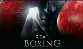 Real Boxing