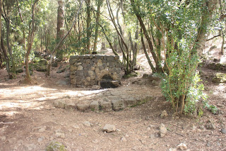 GR-131 - TRAMO 3 LA ESPERANZA (EL ROSARIO) AL ÁREA RECREATIVA DE LA CALDERA (AGUAMANSA - LA OROTAVA), Pista Monte del Pino y fuente de agua