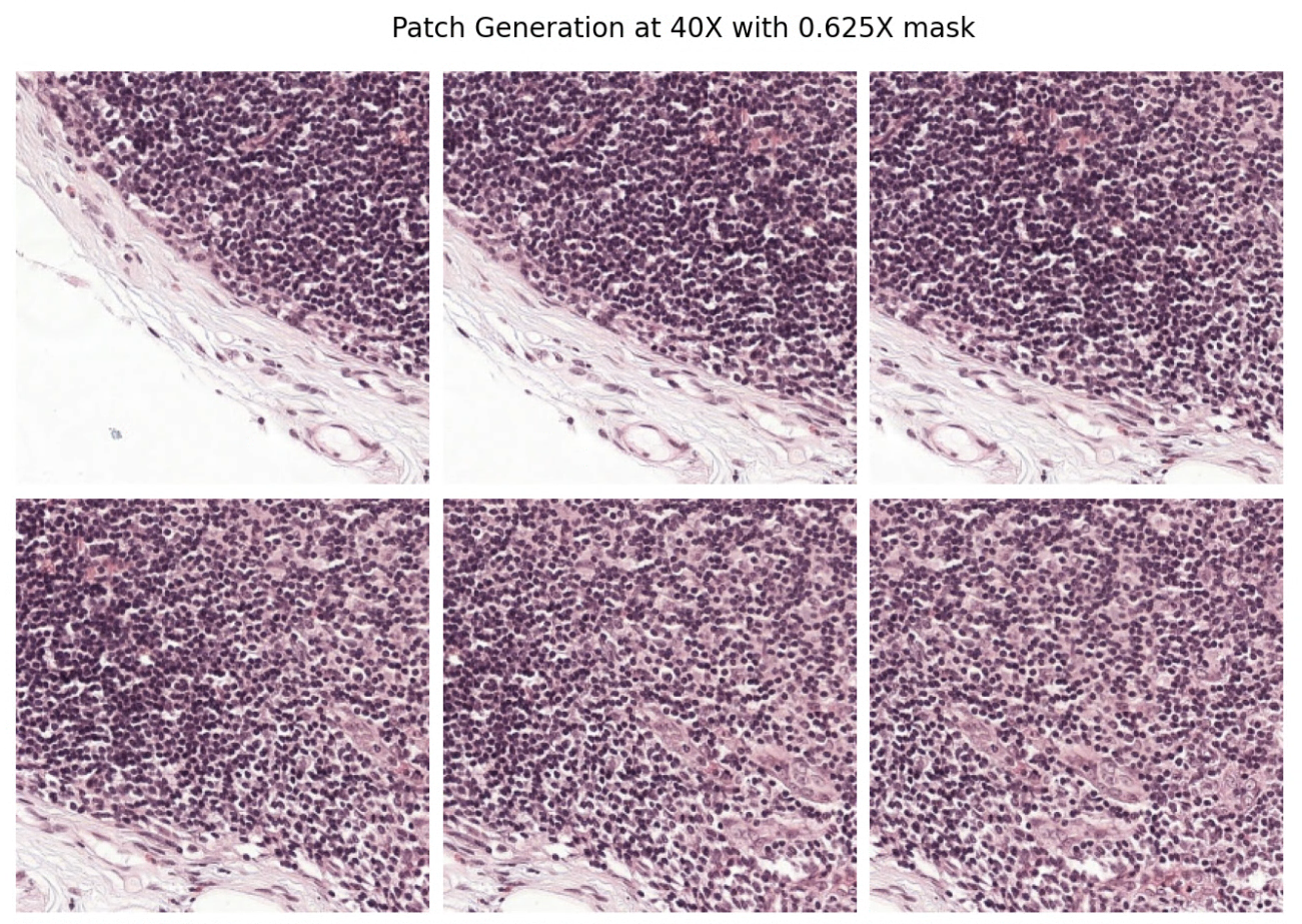 image showing patch generation at 40X with 0.625X mask, rendered by matplotlib