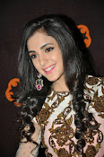 Kanika Kapoor glamorous photos-thumbnail-28