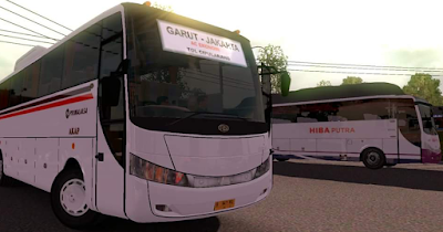 bus rs Evolution Cs Art