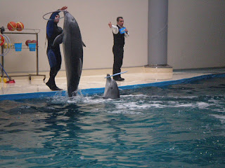 Istanbul Dolphinarium