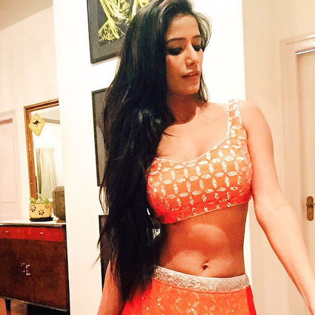 Poonam Pandey navel show picture