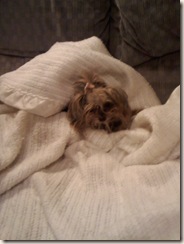 phone pics 146