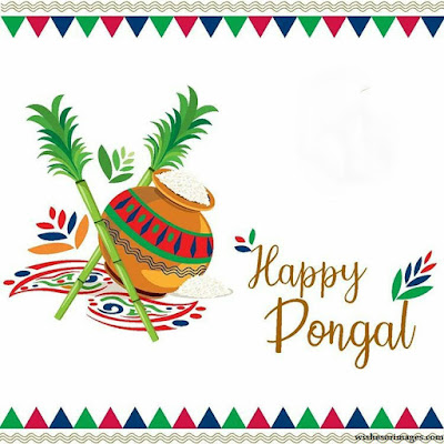 Happy Pongal Images For Twitter