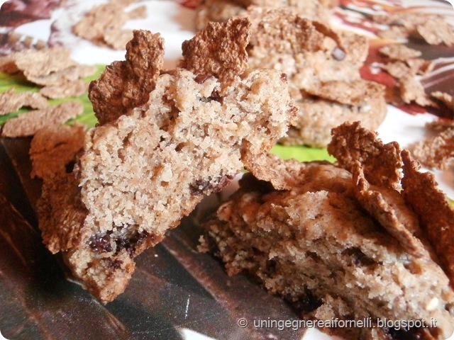 rose del deserto biscotti farina segale mais riso integrale avena cornflakes cioccolato fondente succo arancia ricotta olio senza uova biscuits rye flour corn rice oats cornflakes chocolate orange juice Ricotta cheese oil without eggs