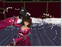 Tvd_20090102a_026