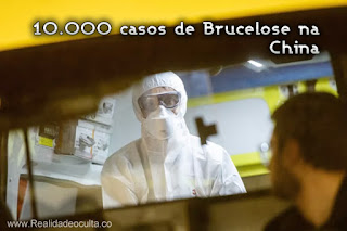 brucelose dez mil casos China