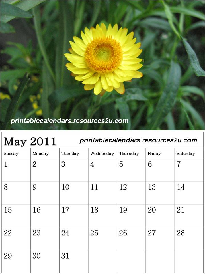 2011 calendar template microsoft. May 2011 Calendar template