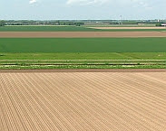 Foto cover De toekomst van de bodem