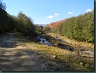 DSCN6869