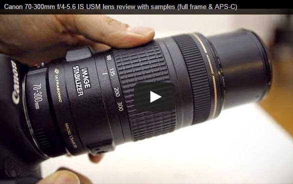 Canon Ef Extender 2x Iii Review