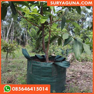 planter bag dari suryaguna 085646415014