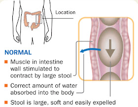 Normal function of intestine