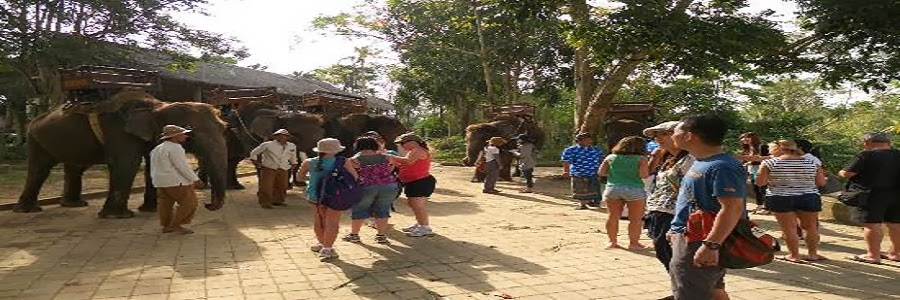  Bali Elephant Ride