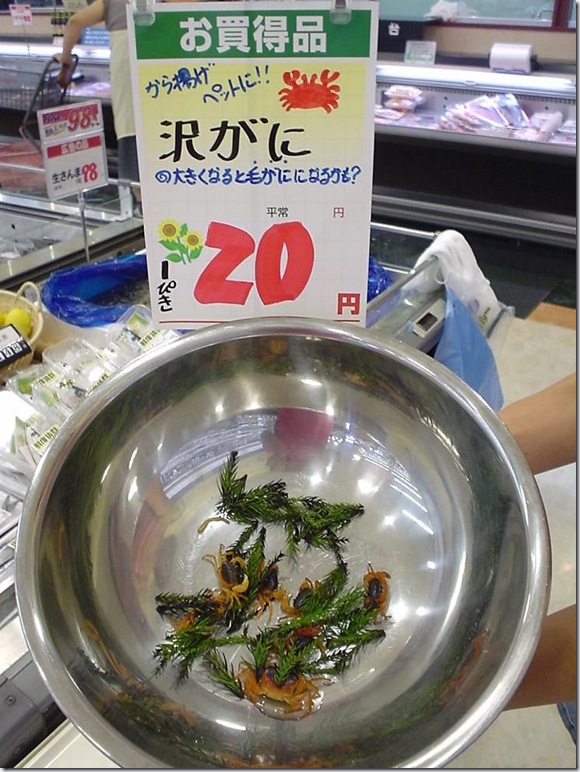 sawagani