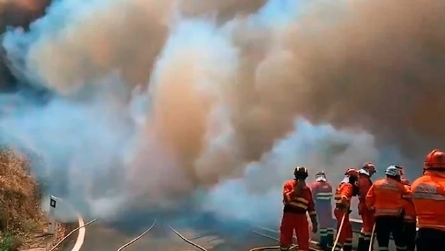 Seis mil hectáreas calcinadas y ocho mil evacuados, incendio Gran Canaria