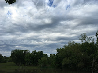 Clouds in the sky, Cloudy skies, Clouds