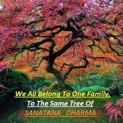 Service, the root of Sanatana Dharma.