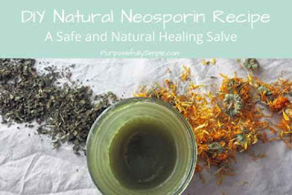 Make a DIY Natural Neosporin 