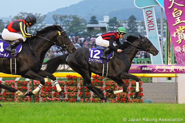 Giappone: Domenica 24 la Japan Cup da Tokyo. Mirco Demuro su Eishin Flash, favoriti Gold Ship e Gentildonna.. Tutte le ultime..