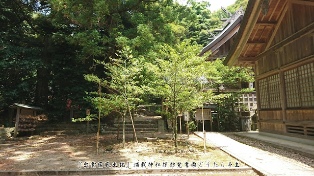 阿須伎神社　神籬