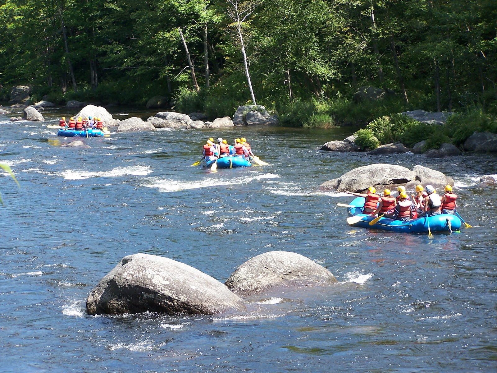 Online Funny River Rafting Online Wallpaper Photo