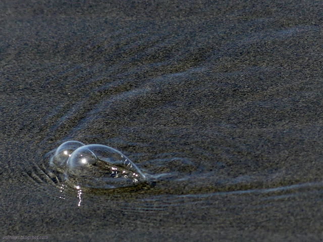 35: bubbles on the beach