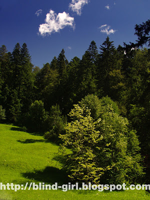 Peles Sinaia Romania