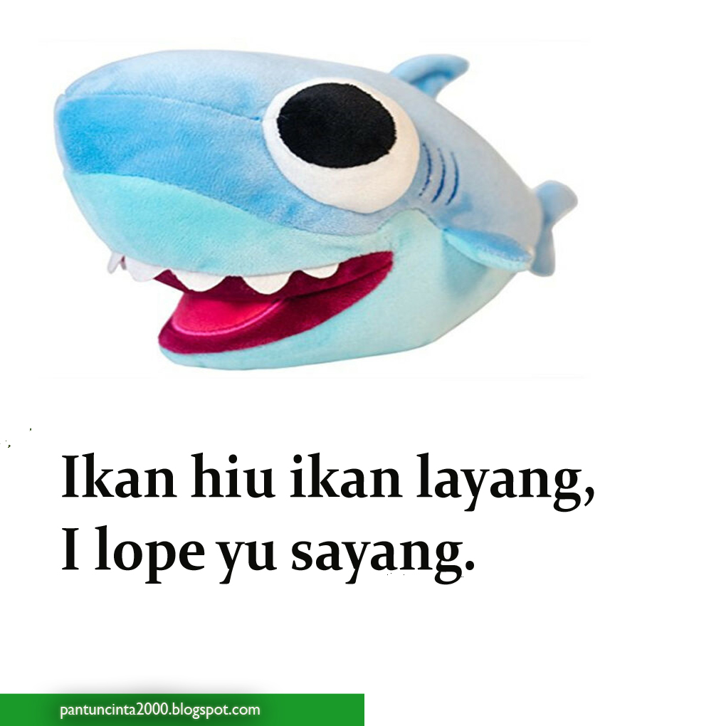 25 Pantun Ikan Hiu Romantis Abis