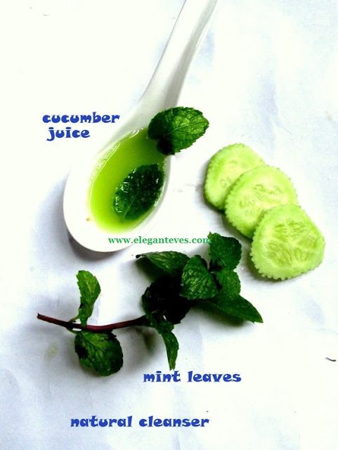 Natural cleanser cucumber lemon mint leaves