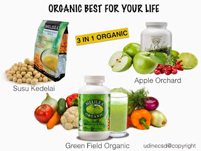 makanan organik