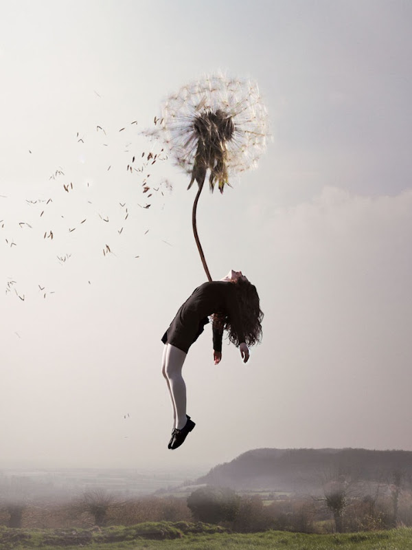 Floating Away Photos - Photography By Maia Flore 6
