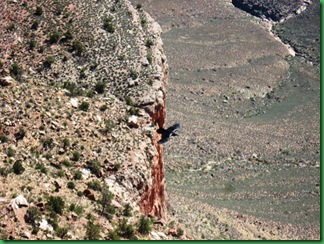 Grand Canyon Day 4 555
