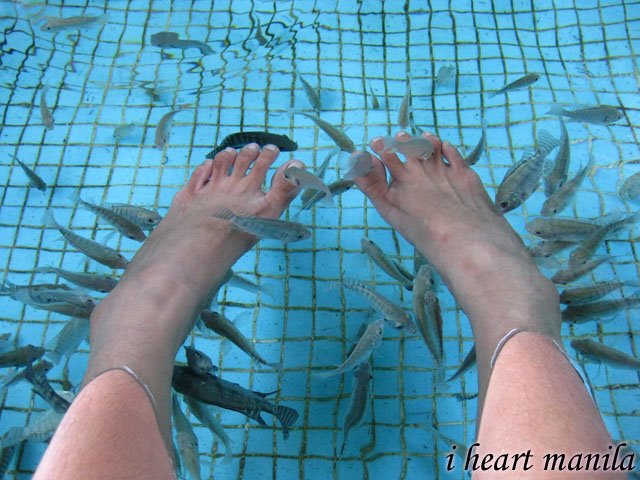 Manila Ocean Park's Fish Spa! my favorite activity at the Oceanarium :) i 