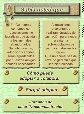 http://guatepets.blogspot.com/2018/08/colaborando-con-los-derechos-de-  las.html