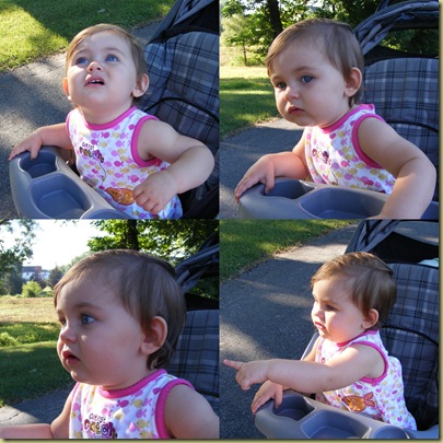 Inquisitive