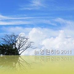 DSCN1508