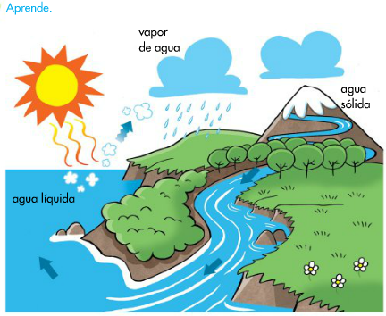 http://www.primerodecarlos.com/SEGUNDO_PRIMARIA/enero/tema2/actividades/cono/aprende_ciclo_agua/visor.swf
