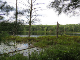 McCarthy Lake