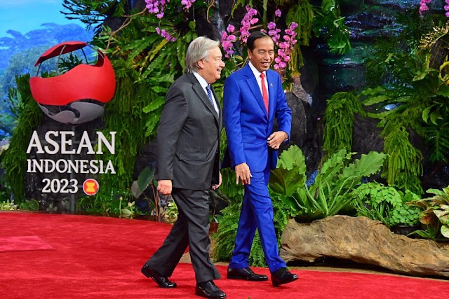Presiden Jokowi Dorong Sinergi ASEAN-PBB Jaga Perdamaian Kawasan  